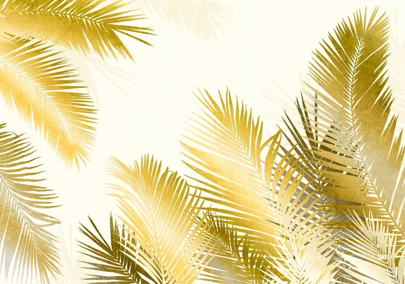 Tropics
