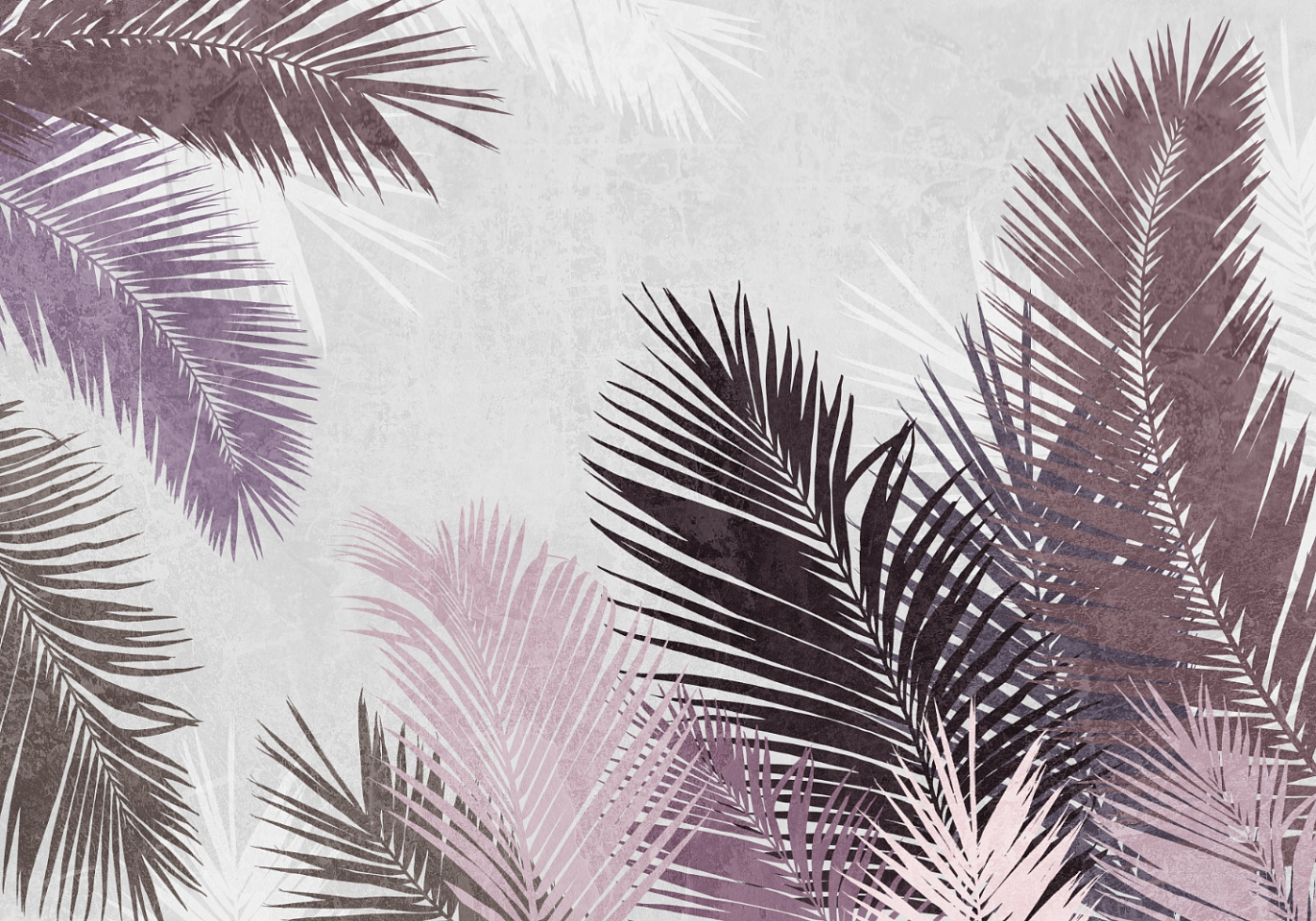 Tropics
