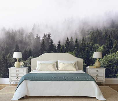 Туман в хвойном лесу в интерьере спальни
