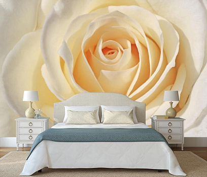 Теплая белая роза  в интерьере спальни