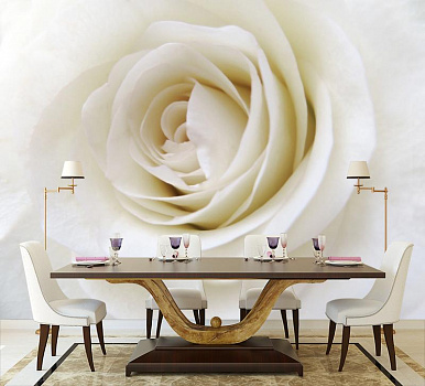 Бутон белой розы  в интерьере кухни с большим столом