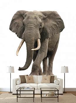 Слон в интерьере гостиной с диваном