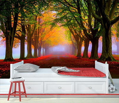 Красочный лес в интерьере детской комнаты мальчика