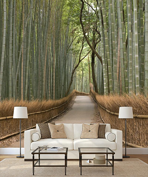 Бамбуковый лес в интерьере гостиной с диваном