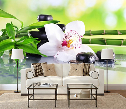 Белая орхидея в интерьере гостиной с диваном