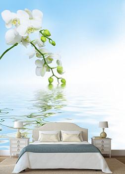 Белая орхидея на голубом фоне в интерьере спальни