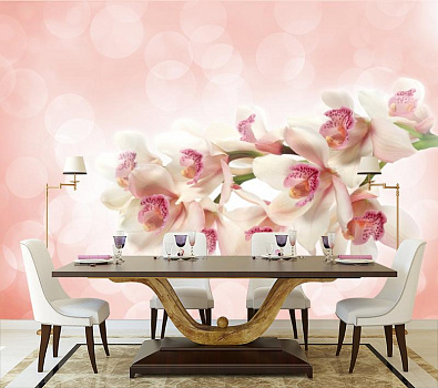 Белая орхидея в отблесках света в интерьере кухни с большим столом
