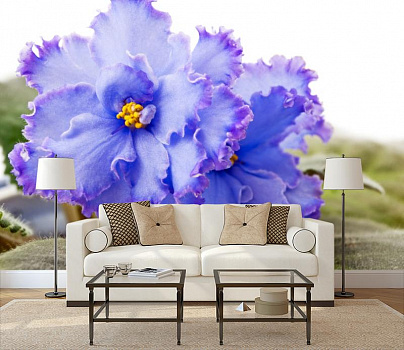 Голубой цветок в интерьере гостиной с диваном
