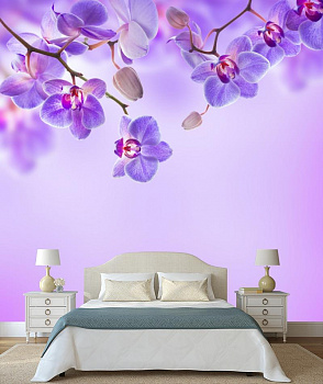 Фиалковая орхидея  в интерьере спальни