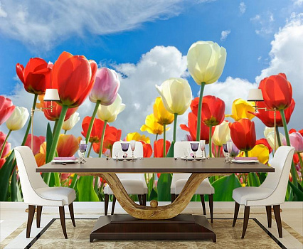 Тюльпаны под голубым небом в интерьере кухни с большим столом