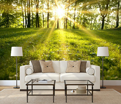 Солнце на траве в интерьере гостиной с диваном