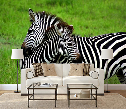 Зебра и зебренок в интерьере гостиной с диваном