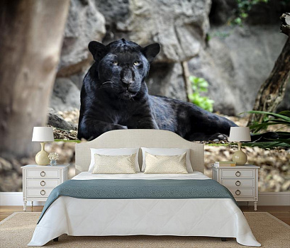Пантера отдыхает в интерьере спальни