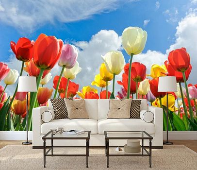 Тюльпаны под голубым небом в интерьере гостиной с диваном
