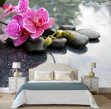 Пестрая орхидея в интерьере спальни