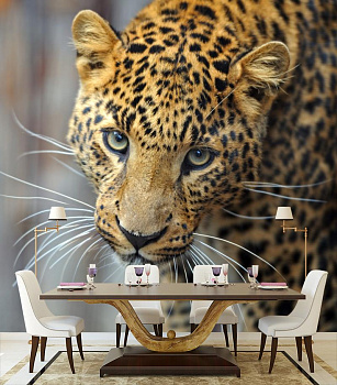 Леопард позер в интерьере кухни с большим столом