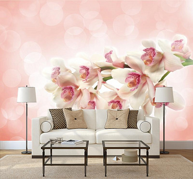Белая орхидея в отблесках света в интерьере гостиной с диваном