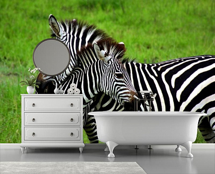 Зебра и зебренок в интерьере ванной