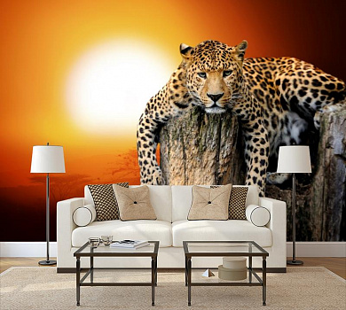 Леопард на закате в интерьере гостиной с диваном