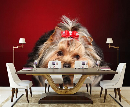 Собачка с бантиком в интерьере кухни с большим столом