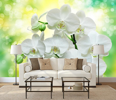 Букет из белых орхидей в интерьере гостиной с диваном