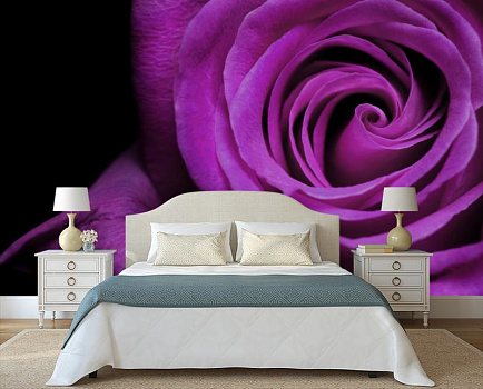 Фиалковая роза в интерьере спальни