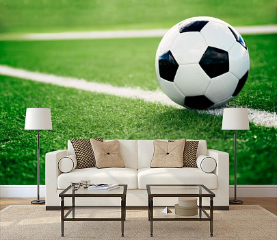 Футбольный мяч на траве в интерьере гостиной с диваном