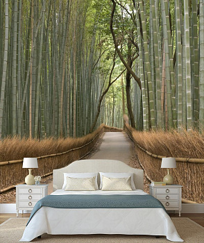 Бамбуковый лес в интерьере спальни