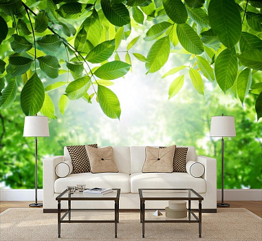 Солнечный свет сквозь листву в интерьере гостиной с диваном
