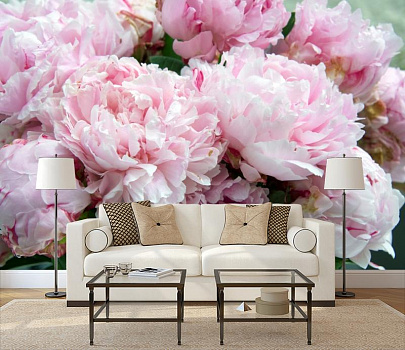 Нежные розовые пионы в интерьере гостиной с диваном