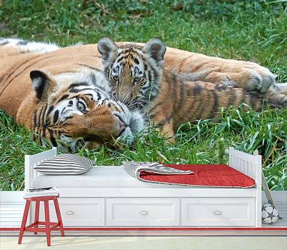Тигрица с тигренком в интерьере детской комнаты мальчика
