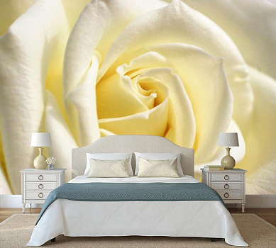 Бутон белой розы в интерьере спальни