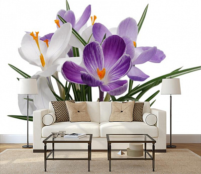 Белые и фиалковые цветы в интерьере гостиной с диваном