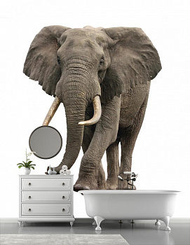 Слон в интерьере ванной