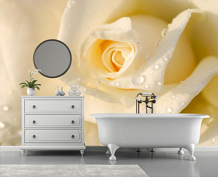 Роза с капельками росы в интерьере ванной