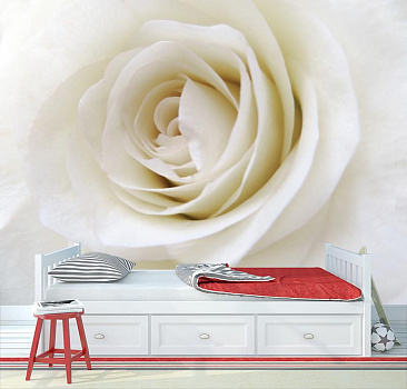 Бутон белой розы  в интерьере детской комнаты мальчика