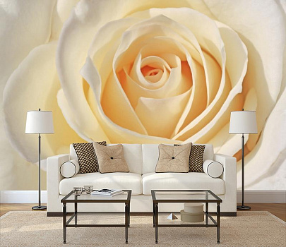 Теплая белая роза  в интерьере гостиной с диваном