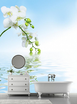 Белая орхидея на голубом фоне в интерьере ванной