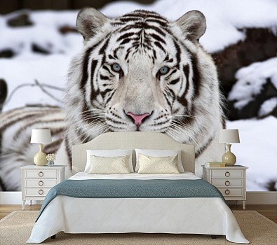 Белый тигр на снегу в интерьере спальни
