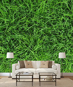 Зеленая трава в интерьере гостиной с диваном