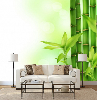 Побеги бамбука в интерьере гостиной с диваном