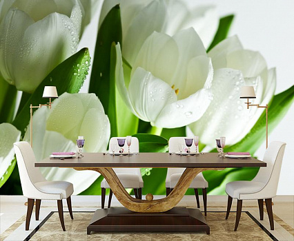 Белые тюльпаны в росе в интерьере кухни с большим столом
