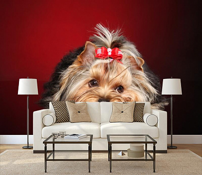 Собачка с бантиком в интерьере гостиной с диваном