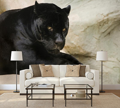 Черная пантера в интерьере гостиной с диваном