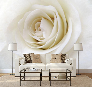 Бутон белой розы  в интерьере гостиной с диваном