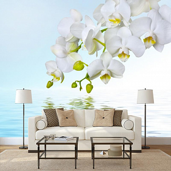 Отражение орхидеи  в интерьере гостиной с диваном