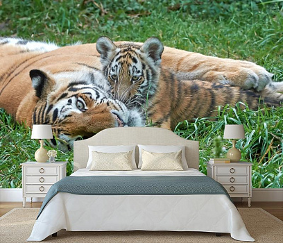 Тигрица с тигренком в интерьере спальни