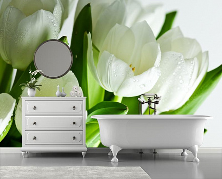 Белые тюльпаны в росе в интерьере ванной