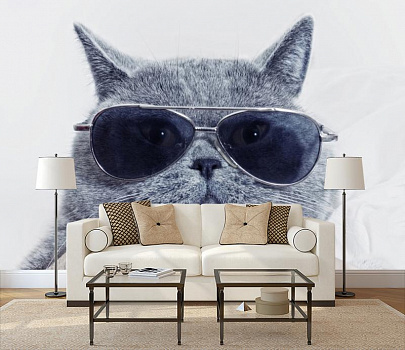 Кот ученый в интерьере гостиной с диваном