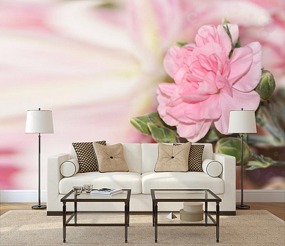 Нежный розовый цветок в интерьере гостиной с диваном